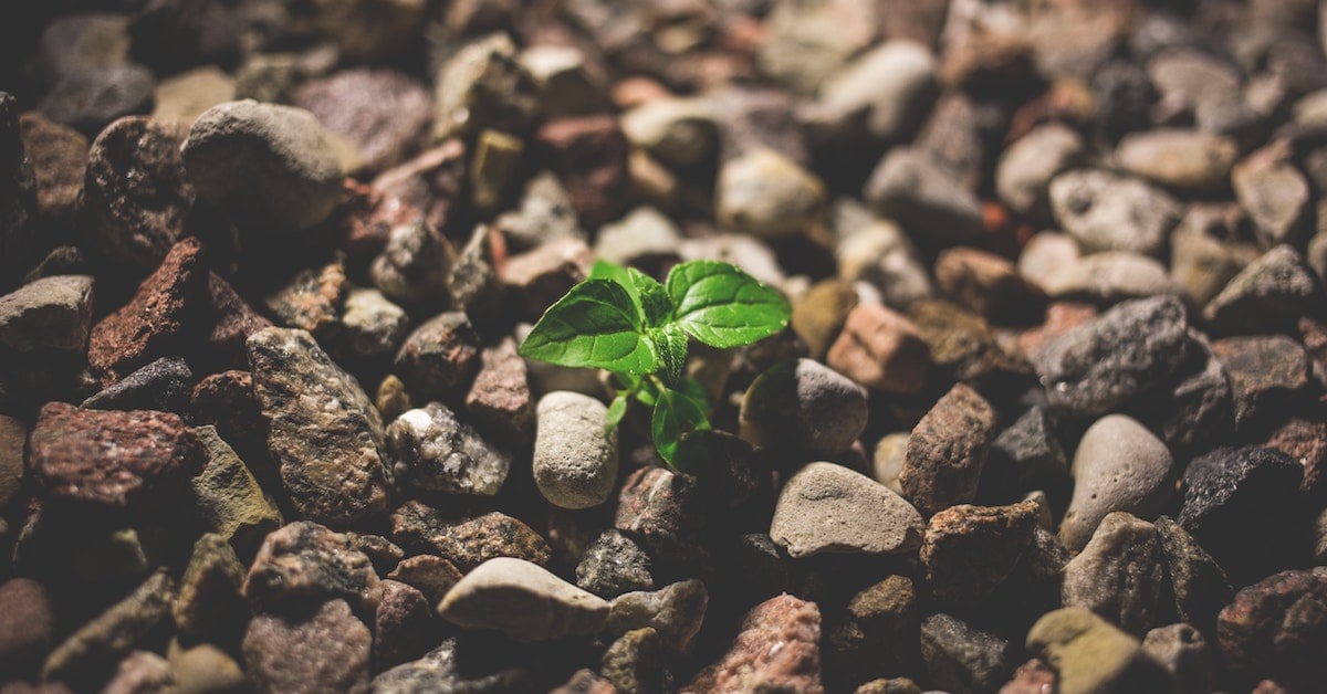 Impact Investing Roundtable with Madeline Duva 