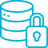 data protection icon