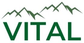 VitalLogo